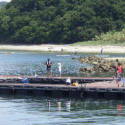 淡路じゃのひれフィッシングパーク 釣果