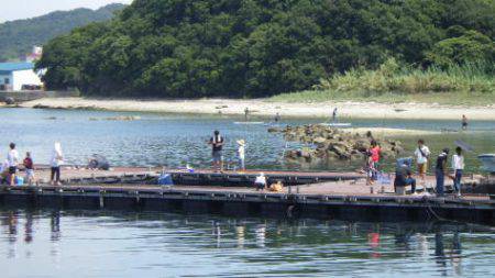 淡路じゃのひれフィッシングパーク 釣果