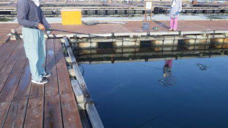 淡路じゃのひれフィッシングパーク 釣果