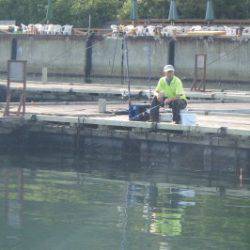 淡路じゃのひれフィッシングパーク 釣果