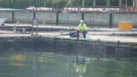 淡路じゃのひれフィッシングパーク 釣果