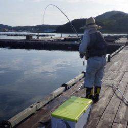 淡路じゃのひれフィッシングパーク 釣果