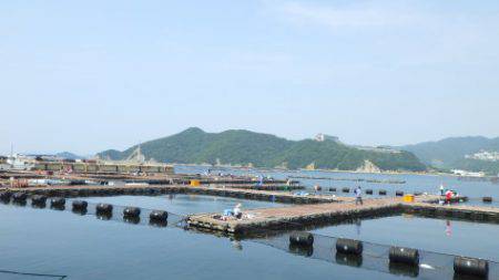 淡路じゃのひれフィッシングパーク 釣果