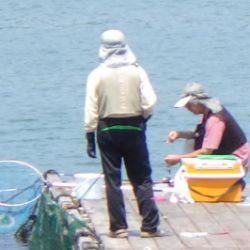 淡路じゃのひれフィッシングパーク 釣果