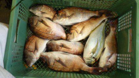 淡路じゃのひれフィッシングパーク 釣果