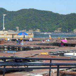 淡路じゃのひれフィッシングパーク 釣果