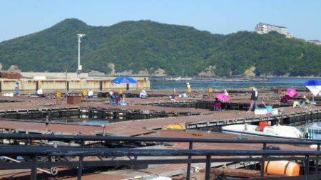 淡路じゃのひれフィッシングパーク 釣果