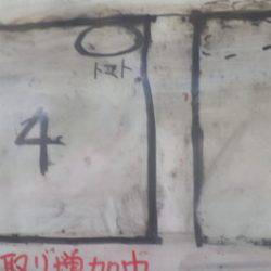 淡路じゃのひれフィッシングパーク 釣果