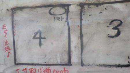 淡路じゃのひれフィッシングパーク 釣果