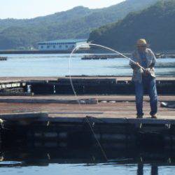 淡路じゃのひれフィッシングパーク 釣果