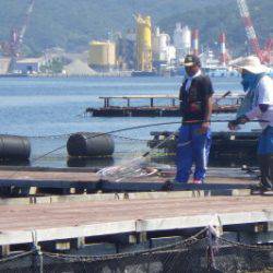 淡路じゃのひれフィッシングパーク 釣果