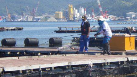 淡路じゃのひれフィッシングパーク 釣果