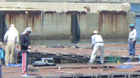 淡路じゃのひれフィッシングパーク 釣果