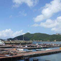 淡路じゃのひれフィッシングパーク 釣果