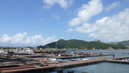 淡路じゃのひれフィッシングパーク 釣果