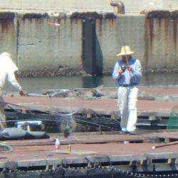 淡路じゃのひれフィッシングパーク 釣果