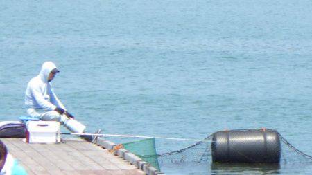 淡路じゃのひれフィッシングパーク 釣果