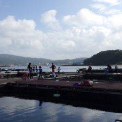 淡路じゃのひれフィッシングパーク 釣果