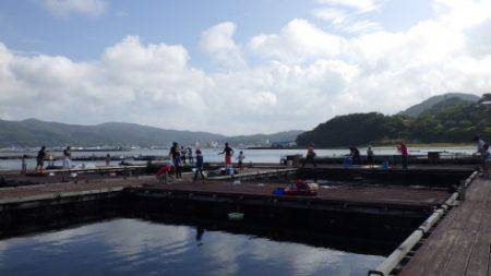 淡路じゃのひれフィッシングパーク 釣果