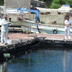 淡路じゃのひれフィッシングパーク 釣果