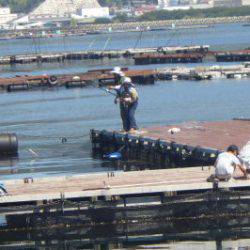 淡路じゃのひれフィッシングパーク 釣果