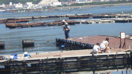 淡路じゃのひれフィッシングパーク 釣果