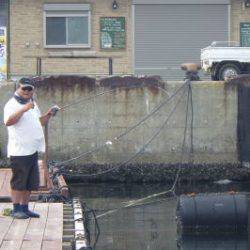 淡路じゃのひれフィッシングパーク 釣果