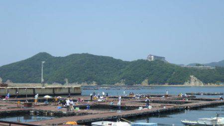 淡路じゃのひれフィッシングパーク 釣果