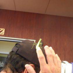 淡路じゃのひれフィッシングパーク 釣果