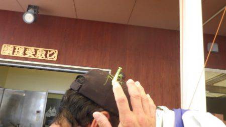 淡路じゃのひれフィッシングパーク 釣果