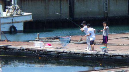 淡路じゃのひれフィッシングパーク 釣果