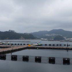 淡路じゃのひれフィッシングパーク 釣果