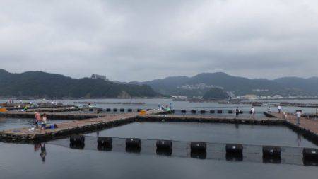 淡路じゃのひれフィッシングパーク 釣果