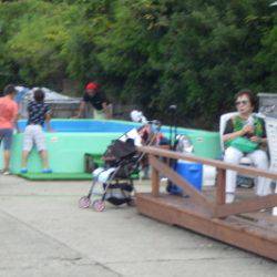 淡路じゃのひれフィッシングパーク 釣果