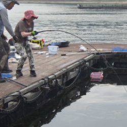 淡路じゃのひれフィッシングパーク 釣果