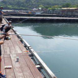 淡路じゃのひれフィッシングパーク 釣果