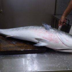 淡路じゃのひれフィッシングパーク 釣果