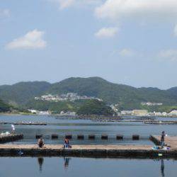 淡路じゃのひれフィッシングパーク 釣果