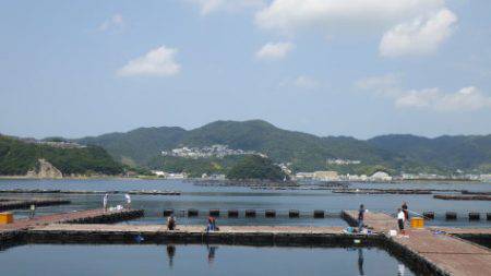 淡路じゃのひれフィッシングパーク 釣果