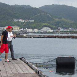 淡路じゃのひれフィッシングパーク 釣果