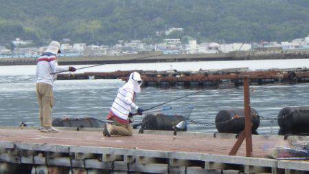 淡路じゃのひれフィッシングパーク 釣果