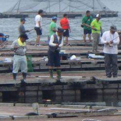 淡路じゃのひれフィッシングパーク 釣果