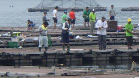 淡路じゃのひれフィッシングパーク 釣果