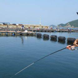 淡路じゃのひれフィッシングパーク 釣果