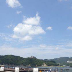 淡路じゃのひれフィッシングパーク 釣果