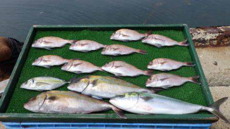 淡路じゃのひれフィッシングパーク 釣果