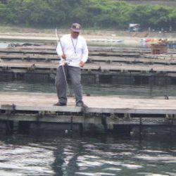 淡路じゃのひれフィッシングパーク 釣果