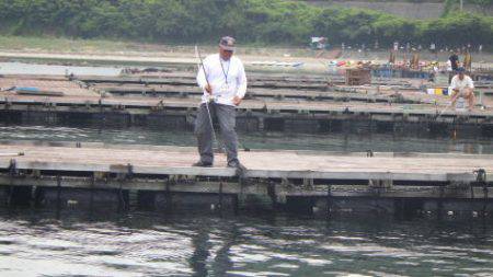 淡路じゃのひれフィッシングパーク 釣果