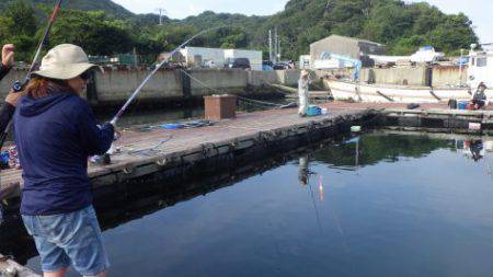 淡路じゃのひれフィッシングパーク 釣果