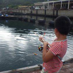 淡路じゃのひれフィッシングパーク 釣果